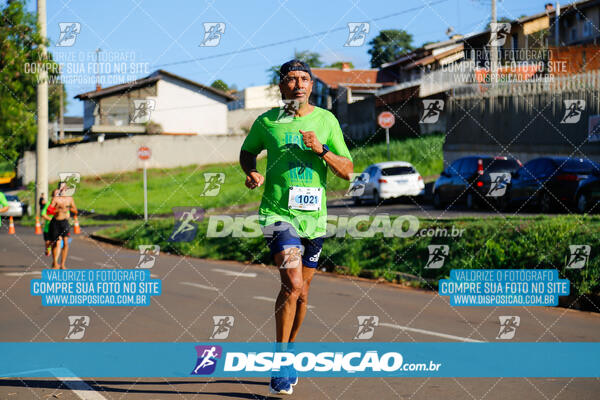 Vale Verde Run 2024