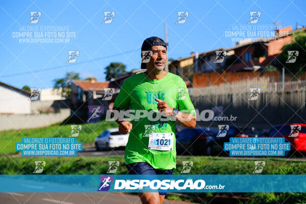 Vale Verde Run 2024