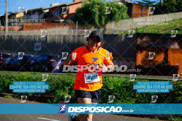 Vale Verde Run 2024