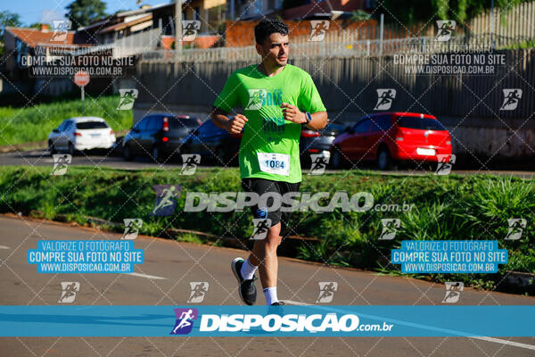 Vale Verde Run 2024