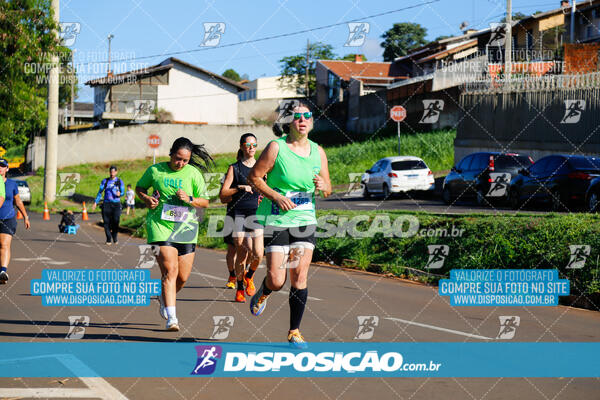 Vale Verde Run 2024