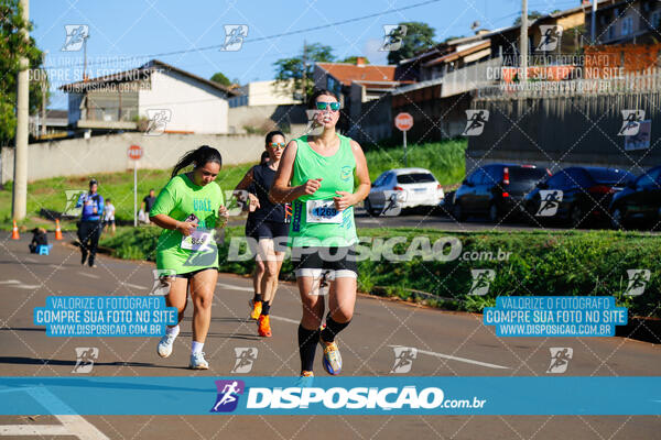 Vale Verde Run 2024