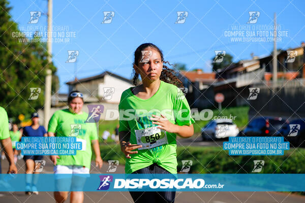 Vale Verde Run 2024