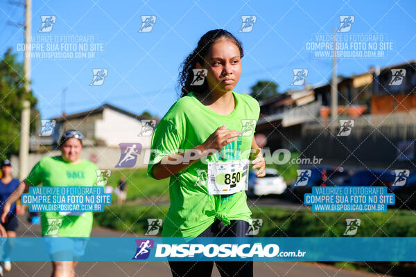 Vale Verde Run 2024