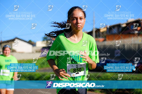 Vale Verde Run 2024