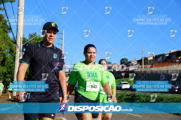 Vale Verde Run 2024