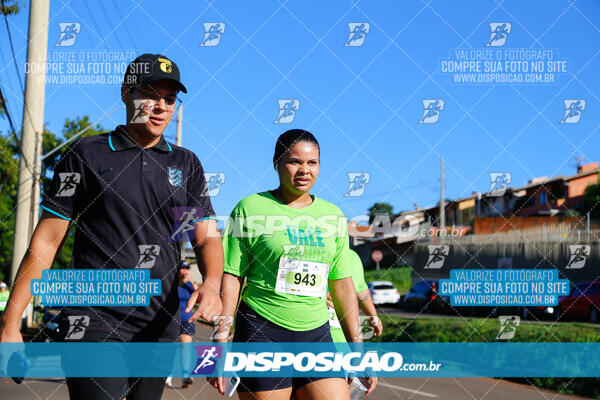 Vale Verde Run 2024