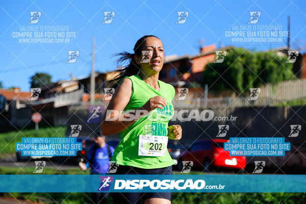 Vale Verde Run 2024