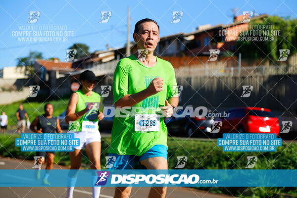 Vale Verde Run 2024