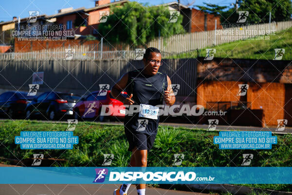 Vale Verde Run 2024