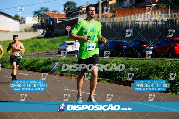 Vale Verde Run 2024