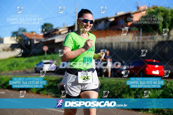 Vale Verde Run 2024