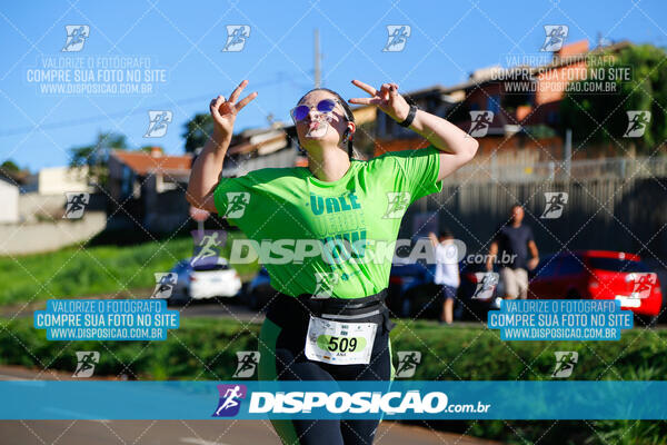 Vale Verde Run 2024