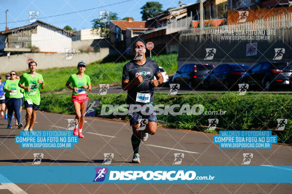 Vale Verde Run 2024