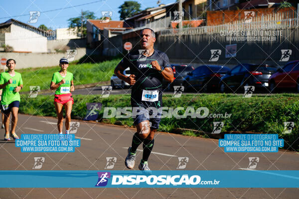 Vale Verde Run 2024