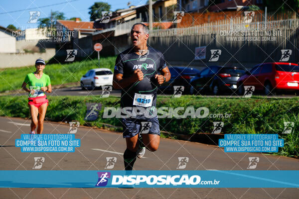 Vale Verde Run 2024