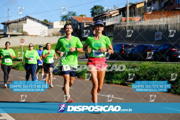 Vale Verde Run 2024