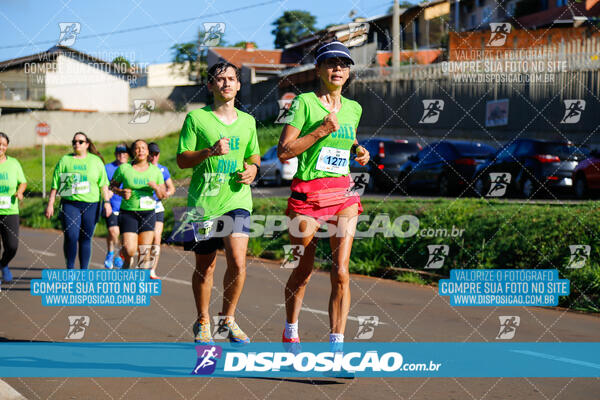 Vale Verde Run 2024