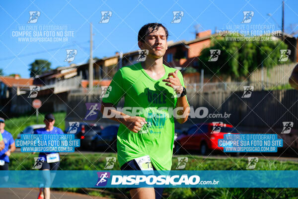 Vale Verde Run 2024