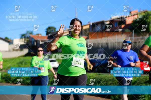 Vale Verde Run 2024