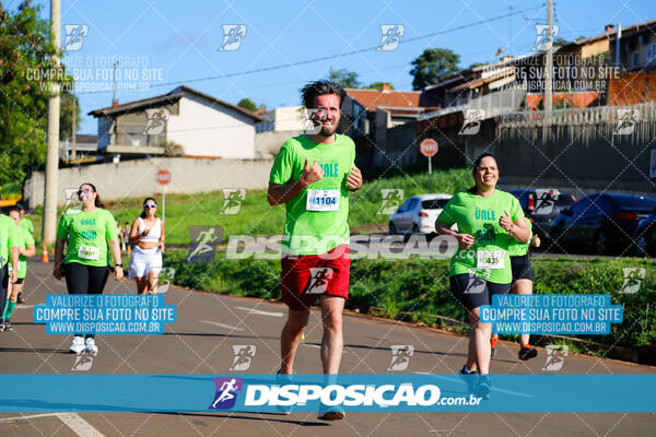 Vale Verde Run 2024