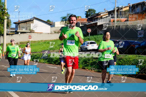 Vale Verde Run 2024