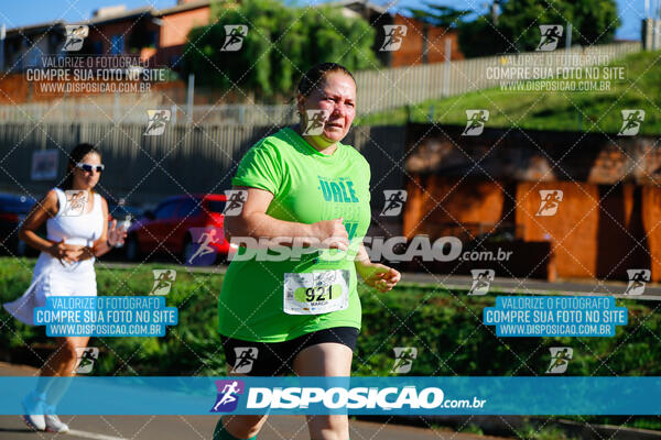 Vale Verde Run 2024