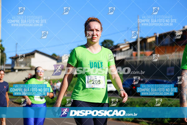 Vale Verde Run 2024