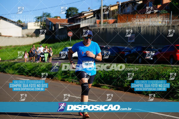 Vale Verde Run 2024