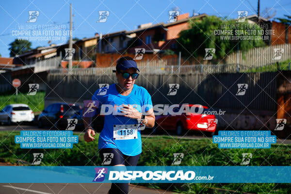 Vale Verde Run 2024