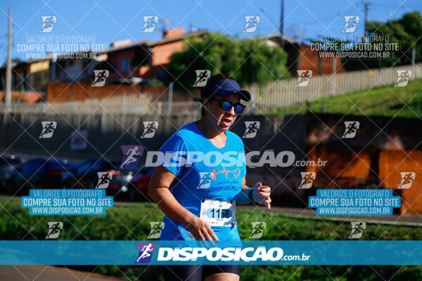 Vale Verde Run 2024