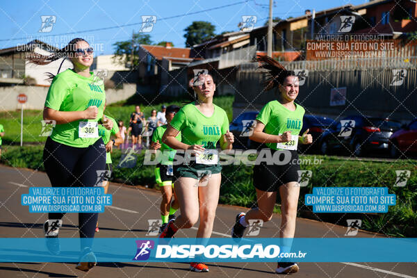 Vale Verde Run 2024