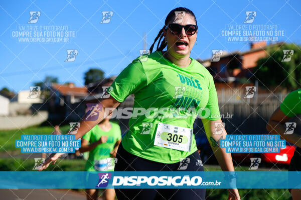 Vale Verde Run 2024