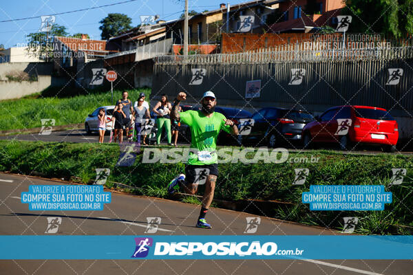 Vale Verde Run 2024