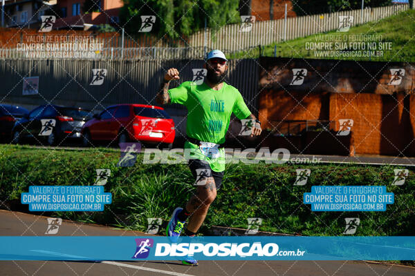 Vale Verde Run 2024