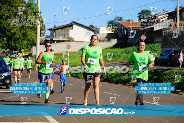 Vale Verde Run 2024