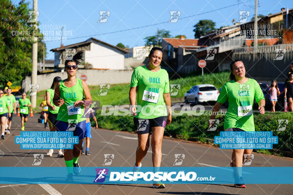 Vale Verde Run 2024