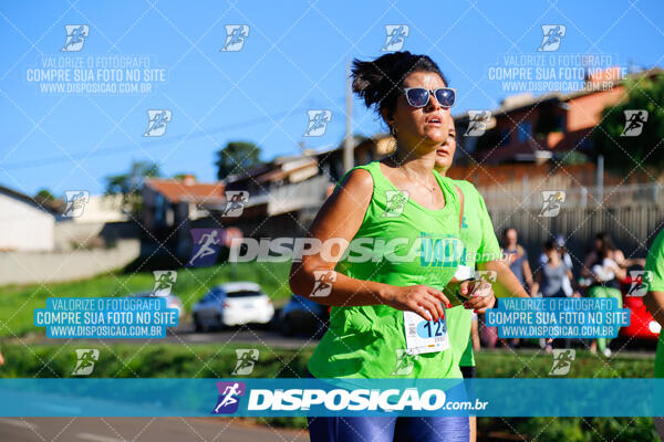 Vale Verde Run 2024