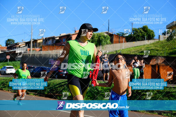 Vale Verde Run 2024