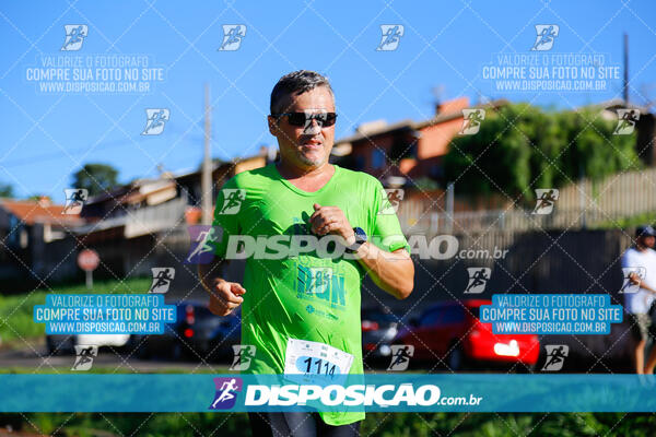 Vale Verde Run 2024