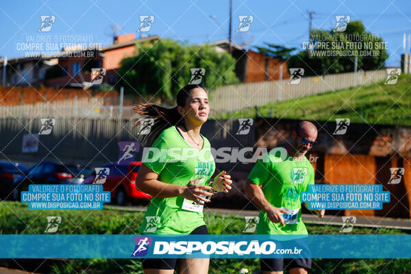 Vale Verde Run 2024