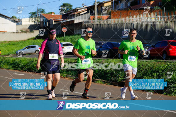 Vale Verde Run 2024