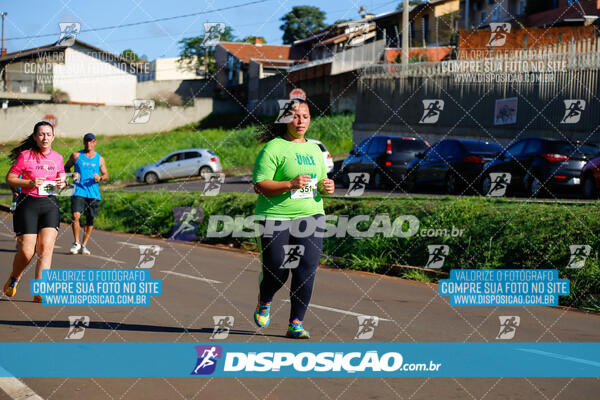 Vale Verde Run 2024