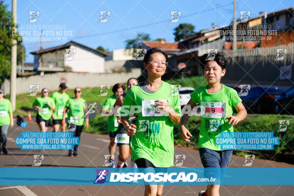 Vale Verde Run 2024