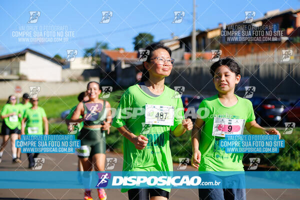 Vale Verde Run 2024