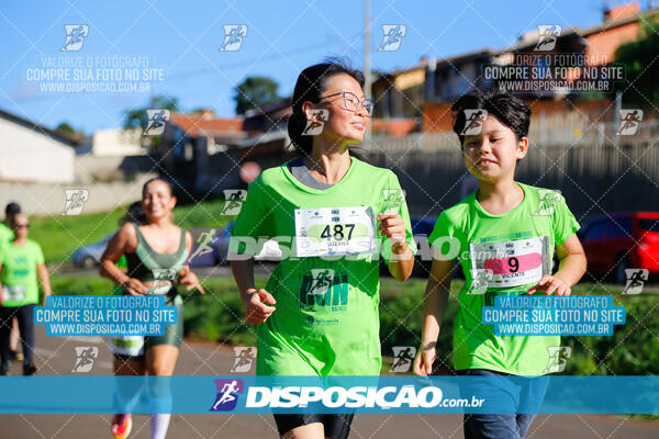 Vale Verde Run 2024