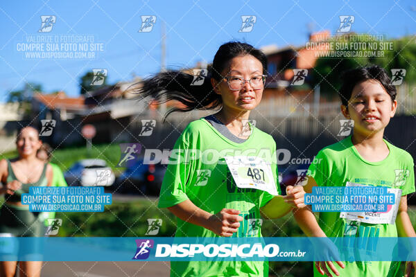 Vale Verde Run 2024