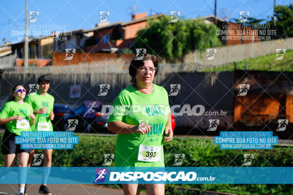 Vale Verde Run 2024