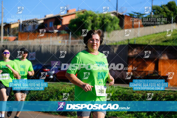 Vale Verde Run 2024