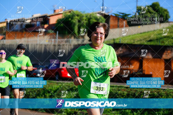 Vale Verde Run 2024